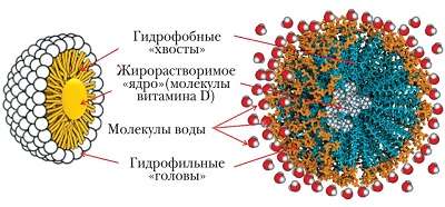 Мицеллярная форма холекальциферола Аквавит Д3